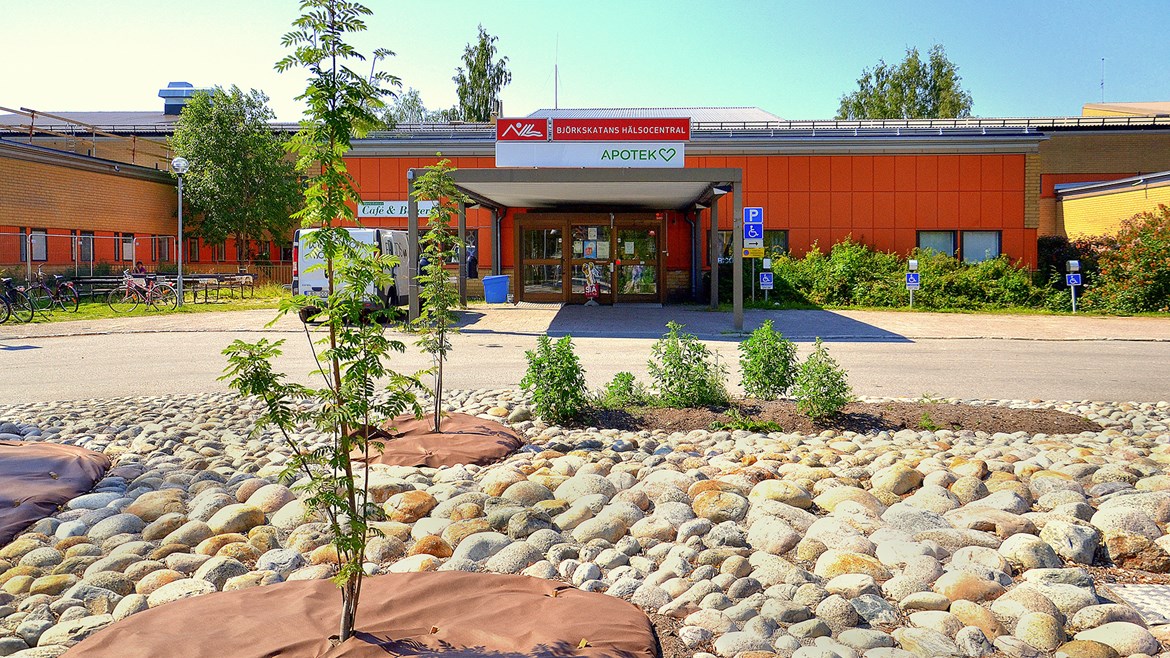 Björkskatans Hälsocentral, sommartid med stensättning och ett träd i förgrunden