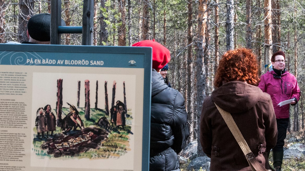 Arkeologisk visning i skogen inför publik