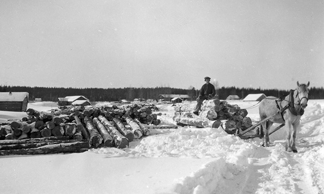 Timmerkörning i snö med häst och vagn