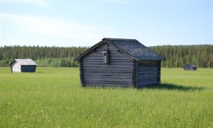 Vasikkavuoma slåttermyr, foto Jenny Dahlén Vestlund