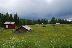 Kulturreservatet Hanhivittiko fäbod, foto Jenny Dahlén Vestlund